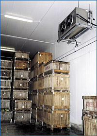 Cold rooms for grain storage: 3.600 m� cold rooms