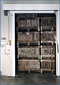 Coop. Tuscania (VT) - Italy, cold rooms for grain storage