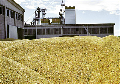 Grain dryer manufactured for Coop. Agricola Servizi, Legnago (VR) - Italy