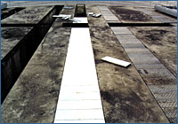 Grain coolers for warehouse system